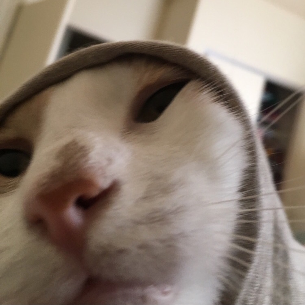 Meet your Posher, Alyssa